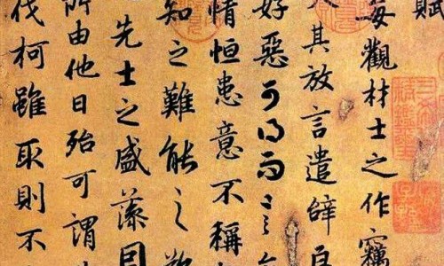 独活中药大辞典-【独活药效与作用】独活中药功效与主治 - 独活中药苕药效是什么网